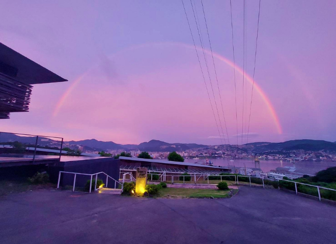 マジックアワー 空の紫陽花